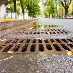 National Stormwater Alliance Releases First State-By-State Snapshot of Programs Managing Polluted Runoff under the Clean Water Act